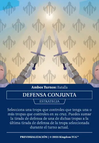 DEFENSA CONJUNTA